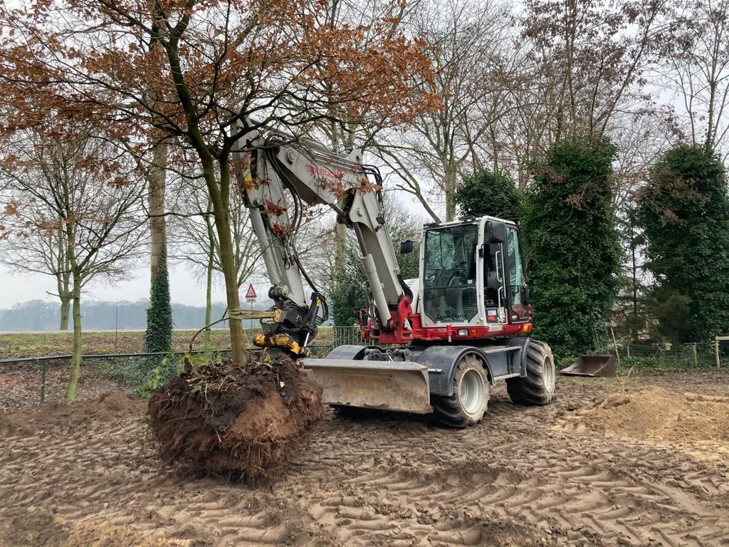 Wielgraafmachine tilt een boom met kluit uit de grond